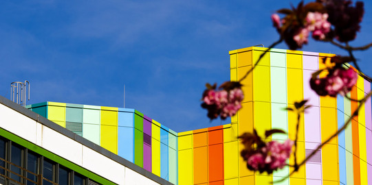 Bunte Gebäude der Universität Duisburg-Essen stehen vor einem blauen Himmel und pinke Blumen.